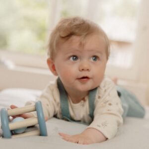 Little Dutch Rullik-kõristi, Forest Friends, FSC