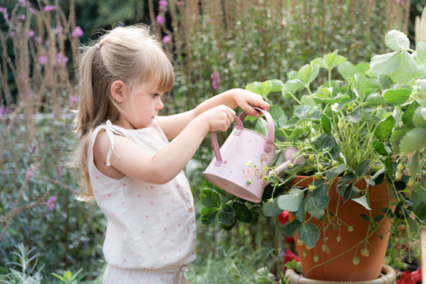 Little Dutch kastekann, Fairy Garden, FSC