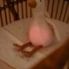 Little Dutch kaisuhani heli ja valgusega, Newborn Naturals, GRS