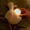 Little Dutch kaisuhani heli ja valgusega, Newborn Naturals, GRS