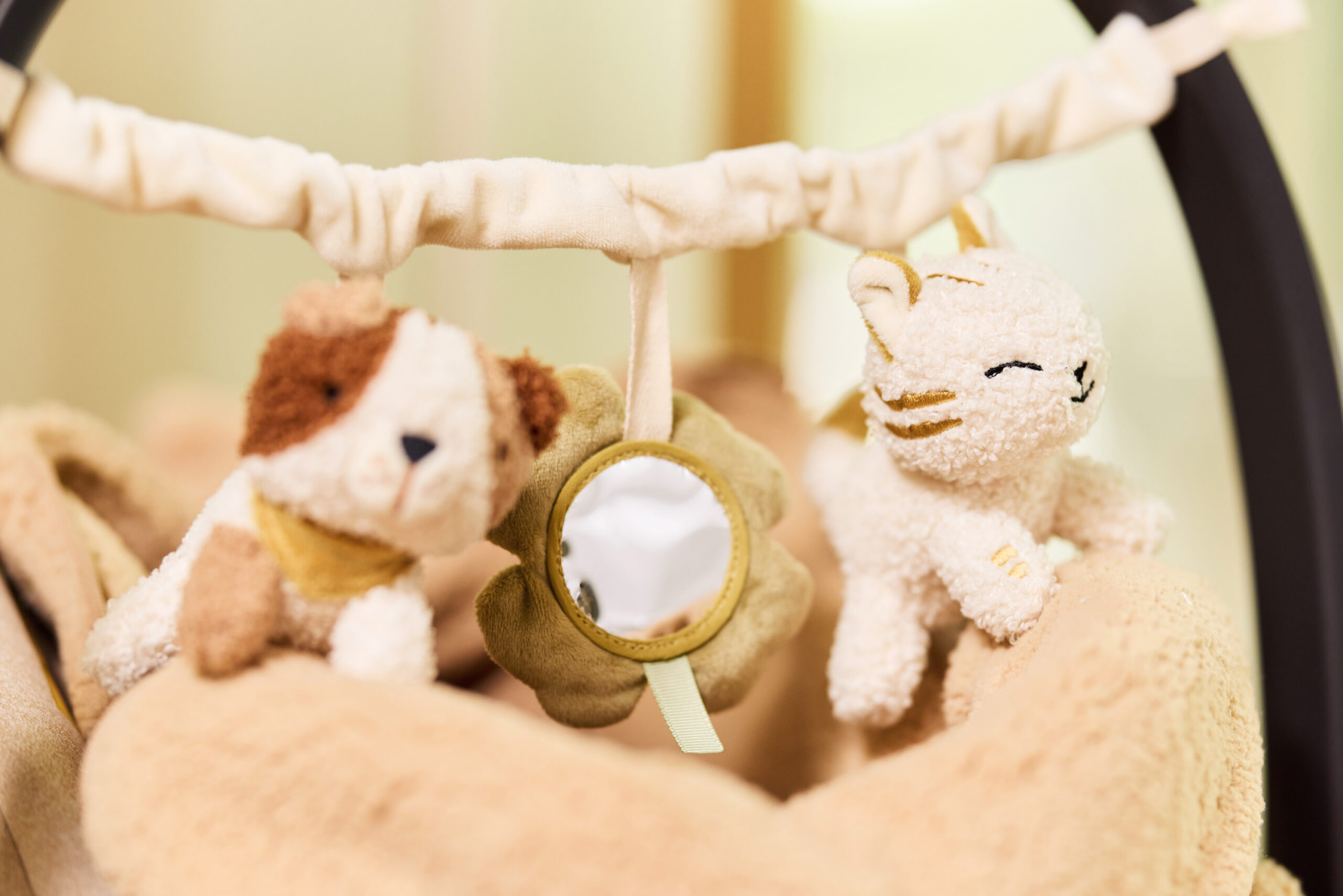 Jollein sensoorne vankrikett, Tiny Park