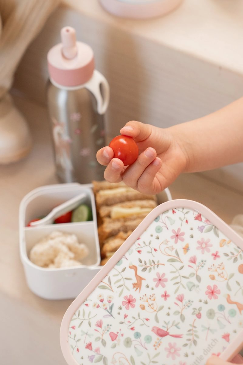 Little Dutch Toidukarp, Fairy Wonders