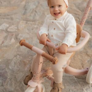 Little Dutch lükkesangaga 4in1 jalgratas, Fairy Floral