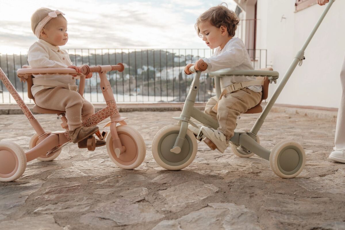 Little Dutch lükkesangaga 4in1 jalgratas, Fairy Floral