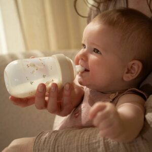 Little Dutch lutipudel, Little Goose