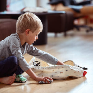 Play&Go 3in1 mini mängumatt-hoiukott, Cars