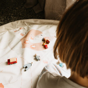 Play&Go 3in1 kaasaskantav mängumatt, Fairy World